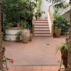 De Estreno En Patios Tipicos De San Basilio , Cordoba Spain